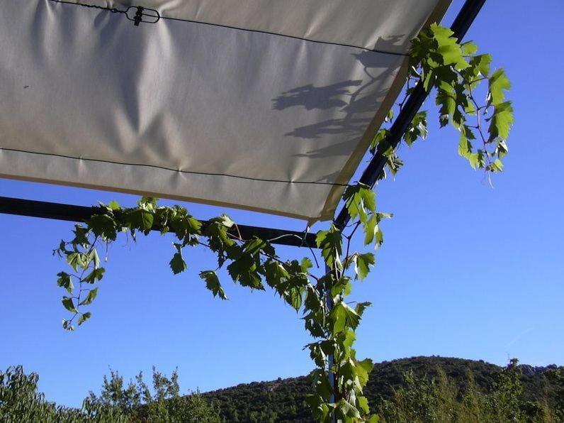 Chambres D'Hotes Le Cadran Solaire Cabrières Kültér fotó